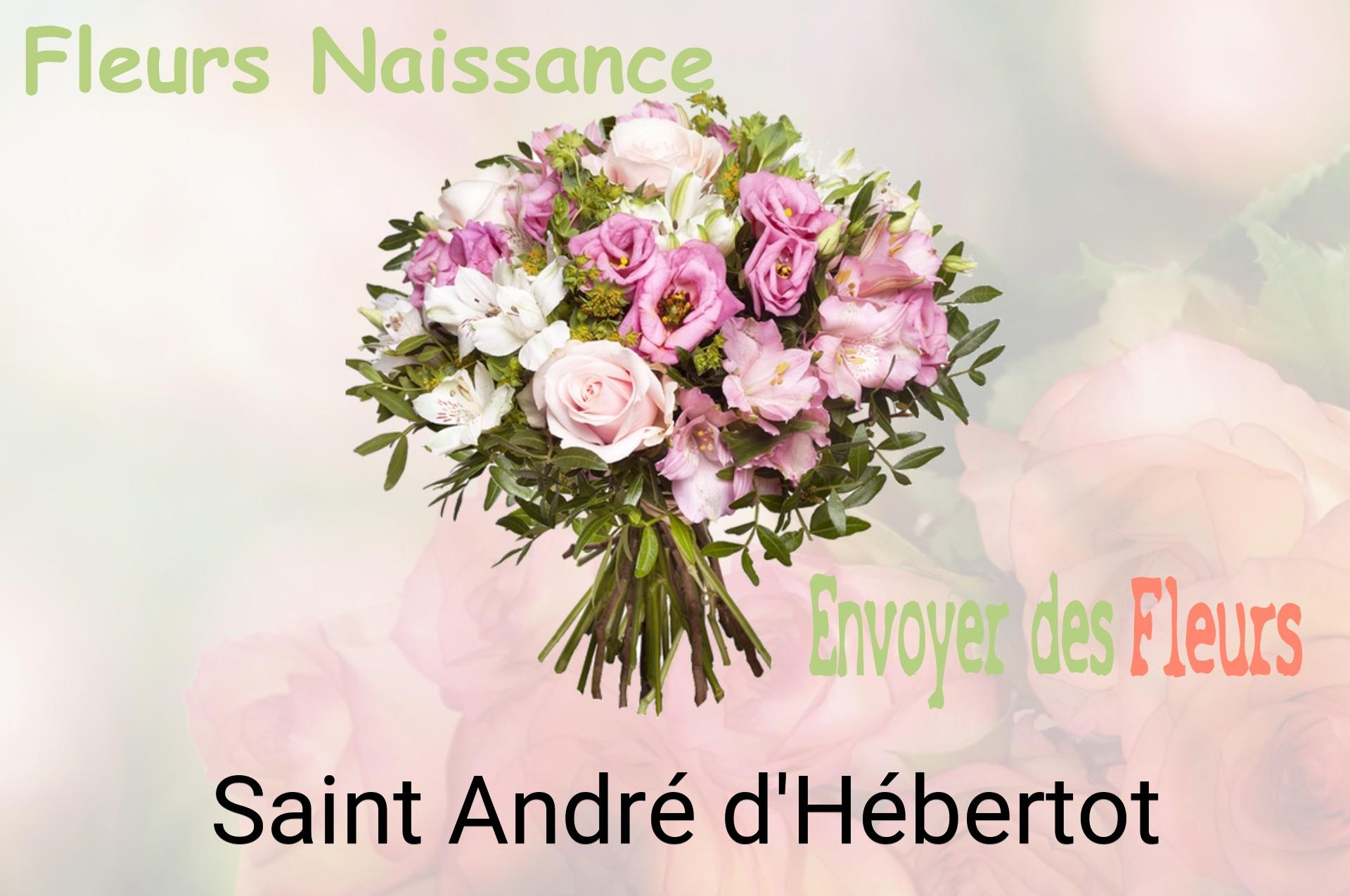 Bouquet de fleurs de naissance livré à Saint-André-d'Hébertot
