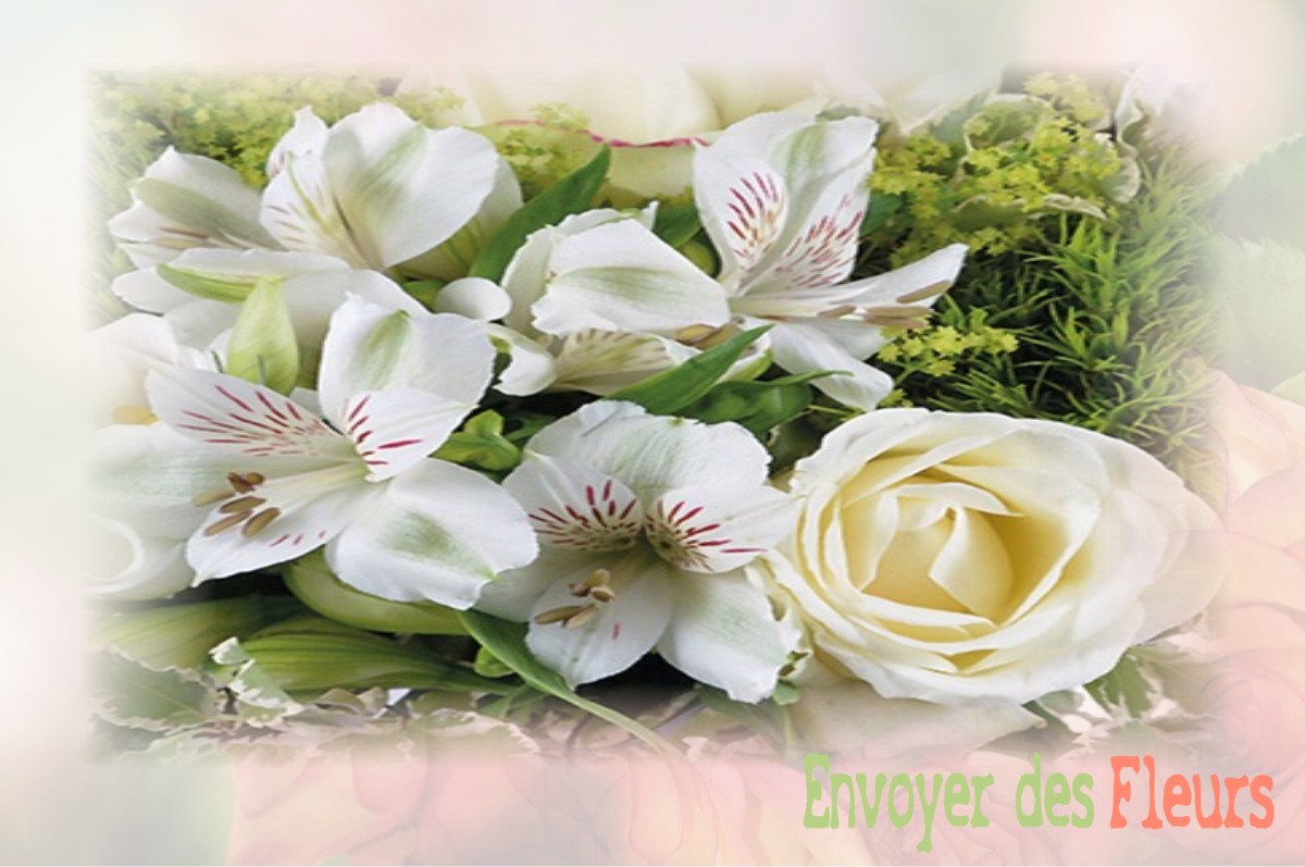 envoyer des fleurs à à SAINT-ANDRE-D-HEBERTOT